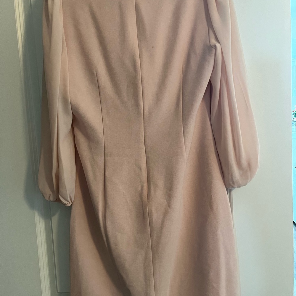 Blush Dress - Picture 6 of 7